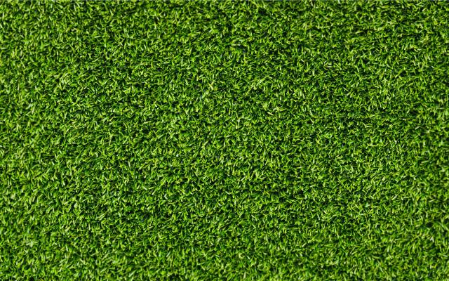 green-grass-texture-wallpaper-5363c7d09f2a4.jpg